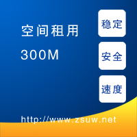 300M空間租用，安全穩定速度